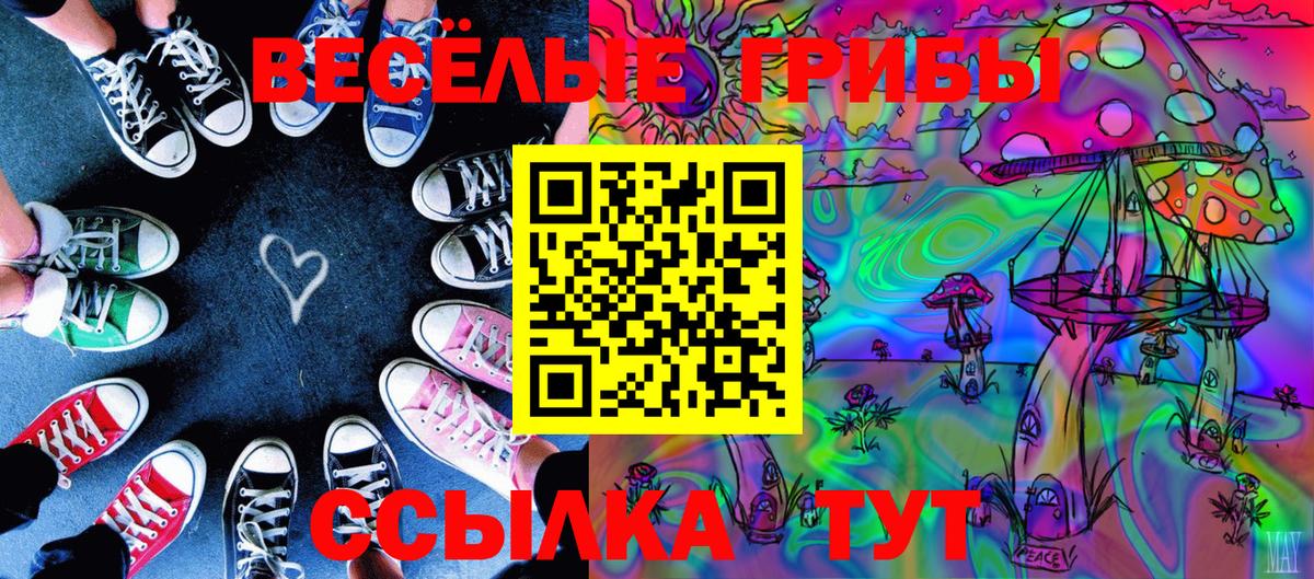 закладки  Псилоцибиновые грибы Cubensis  Озёры  Вход с VPN  Галлюциногенные грибы GOLDEN TEACHER 